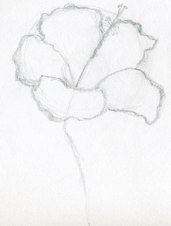 Figurblomma