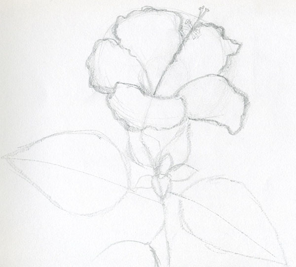 Figurblomma