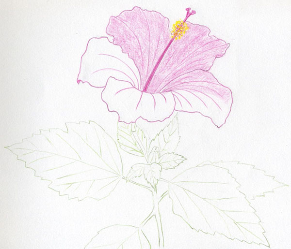 Figurblomma
