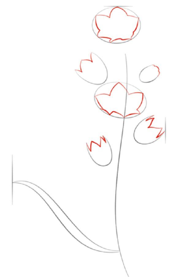 Figurblomma
