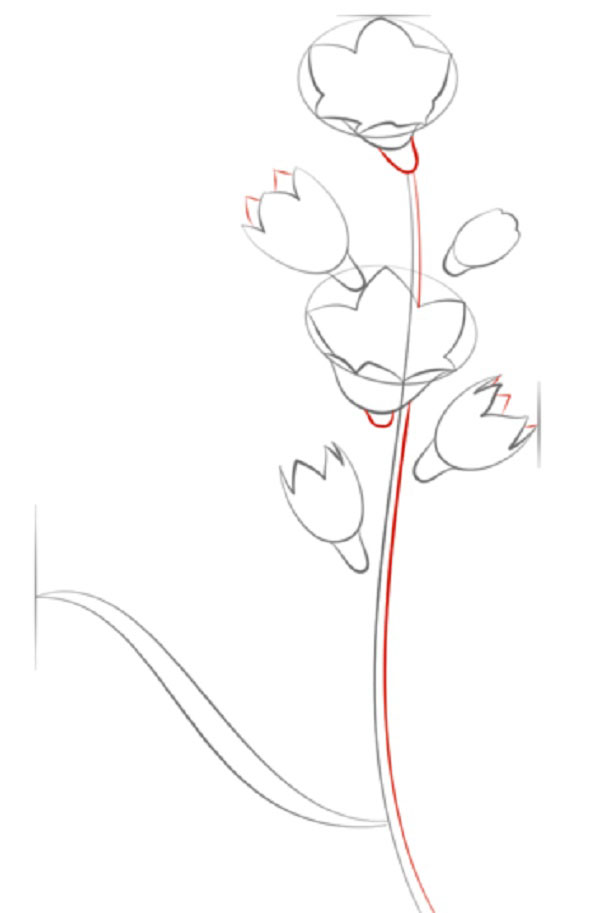 Figurblomma