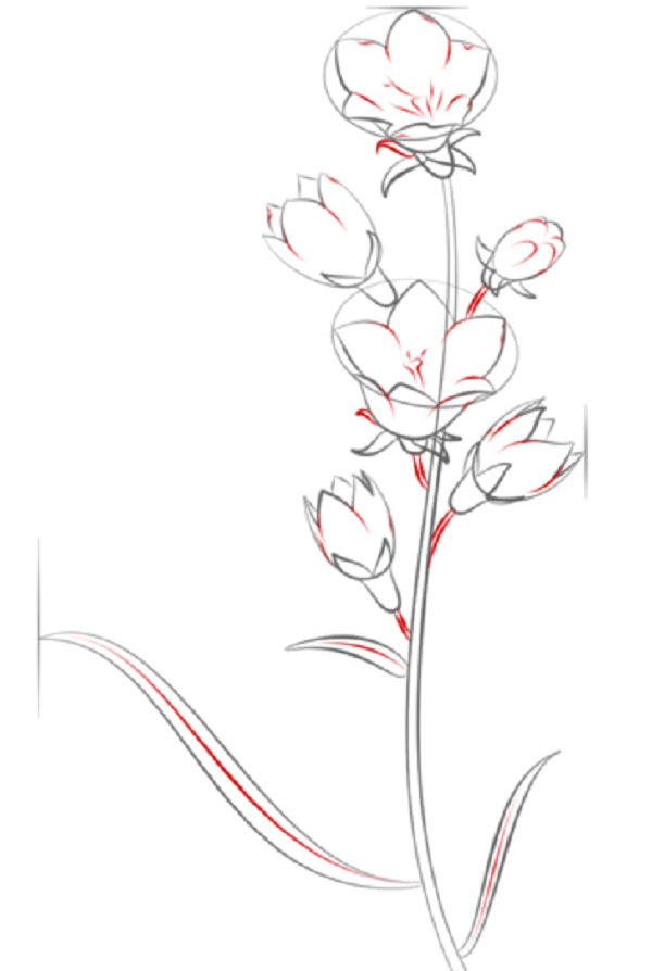 Figurblomma