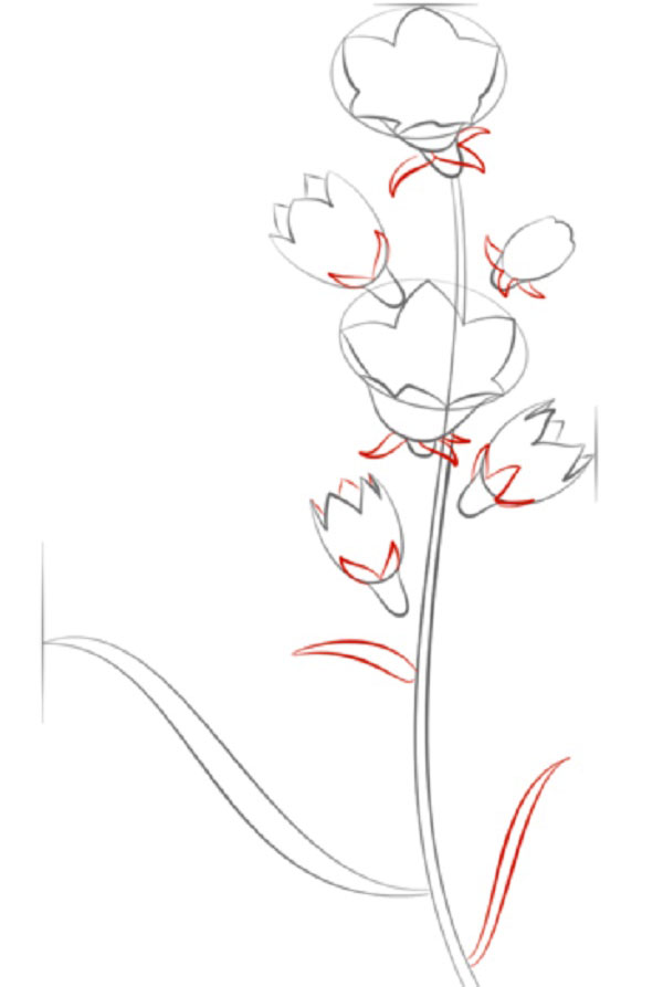 Figurblomma