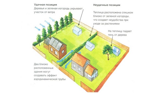 Växthus från fönsterramar med egna händer - steg för steg instruktioner med foto och video
