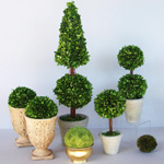 Ta hand om topiary Ta hand om topiary
