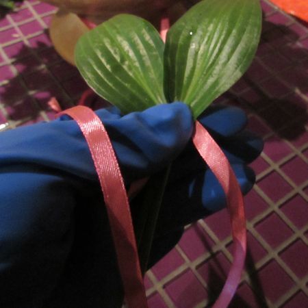 Krans av blommor till bröllopet med egna händer