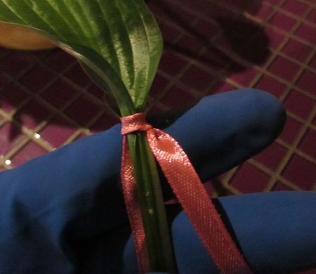 Krans av blommor till bröllopet med egna händer