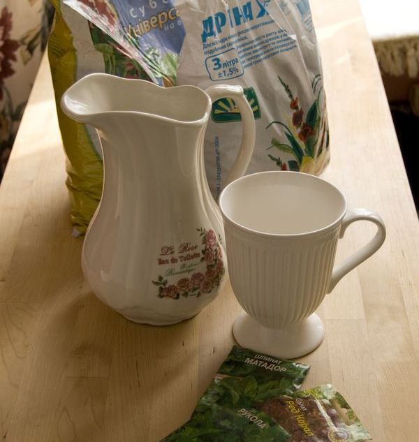 Odling av arugula i hemmet