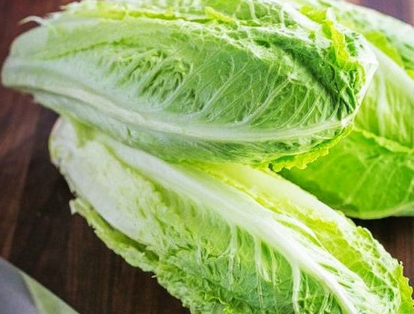 Växande sallad i teori och praktik, användbara råd och rekommendationer
