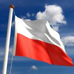 Studie i Polen Studie i Polen