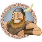 Program för främjande av grupper VKontakte: Viking Botvodov