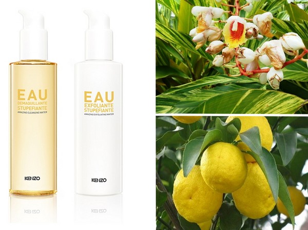 Asiatisk duo: Kenzoki Ginger Flower-serien för fullständig hudrensning