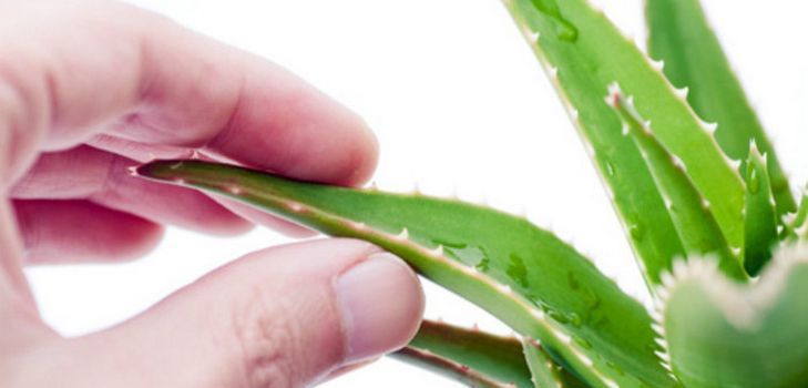 Olika hemmasker och hår från aloe