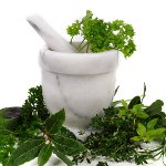 Hemkosmetik: infusioner, avkok, tinkturer Hemkosmetik: infusioner, avkok, tinkturer