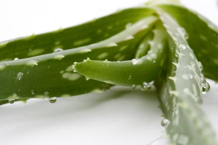 Vinter ansiktsbehandling: Nourishing mask för torr, blekande hud hemma