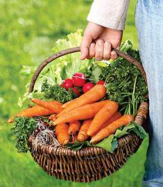 Njurstenar: behandling med folkmedicin