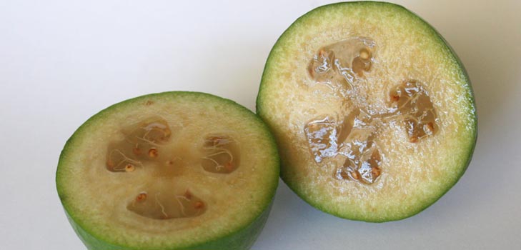 Feijoa - användbara egenskaper, fördelar och skador av feijoa