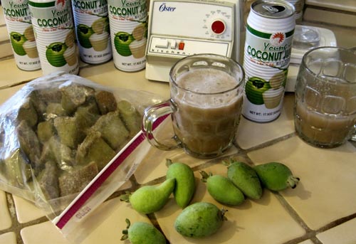 Feijoa - användbara egenskaper, fördelar och skador av feijoa