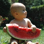 Hur man väljer en vattenmelon Hur man väljer en vattenmelon