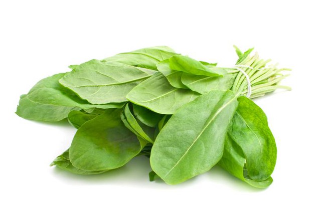 Hur man skaffar sorrel för vintern?