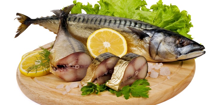Hur man hämtar makrill?
