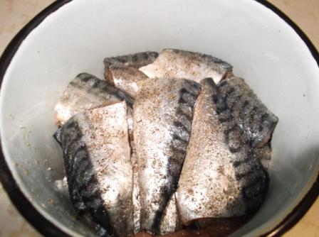 Hur man hämtar makrill?