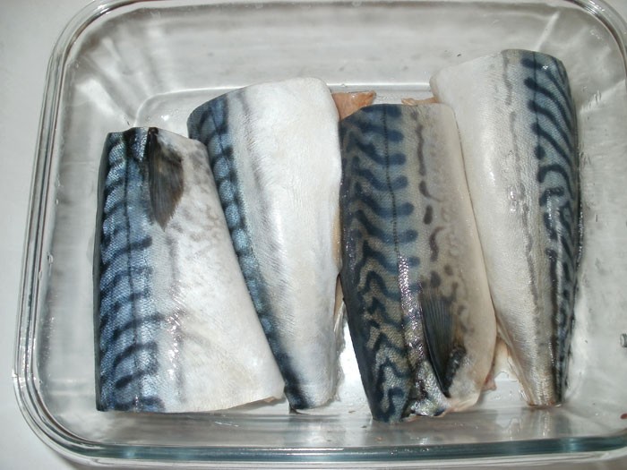 Hur man hämtar makrill?