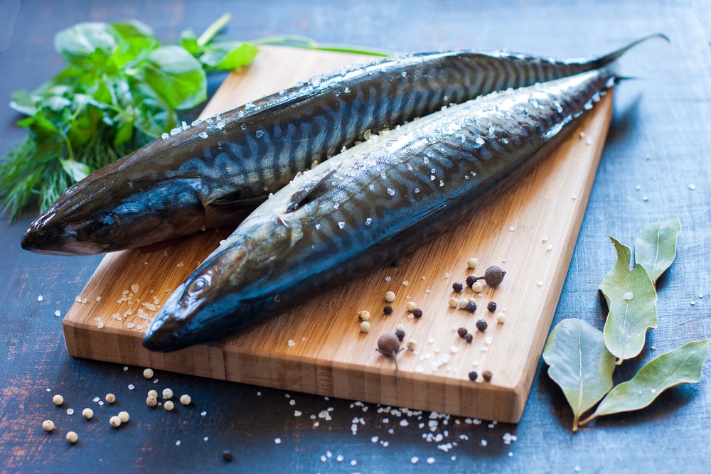 Hur man hämtar makrill?