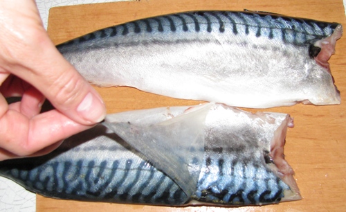 Hur man hämtar makrill?