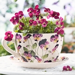 Vilka blommor ska ge den 8 mars