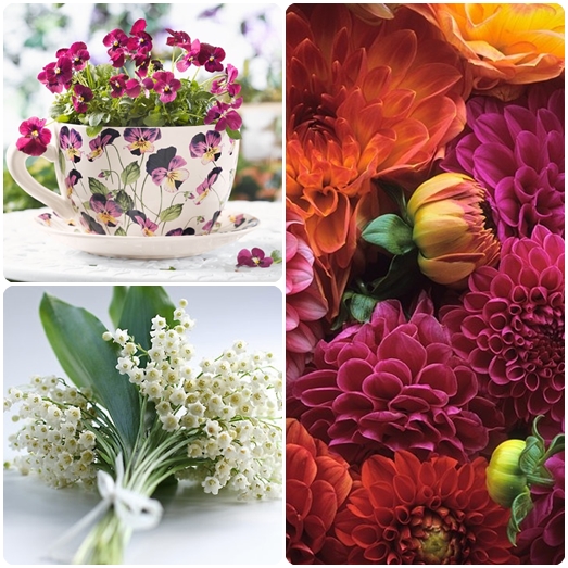 Vilka blommor ska ge den 8 mars