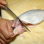 Bearbetning av fisk av olika slag