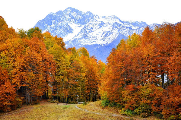 Vädret i Sochi i oktober 2017