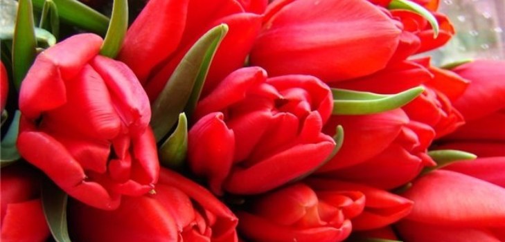 en massa blommor