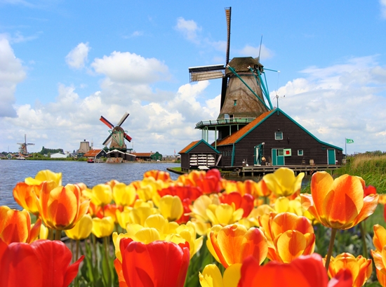 Med världen i en tråd: Vad ska man hämta från Holland