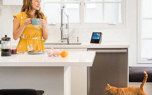 Smart home acoustics: Amazon Echo Show system