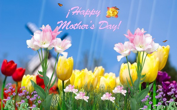 Sms med mors dag - kort, rolig, i vers och prosa. Grattis till mamma, syster, flickvän, svärmor, bekanta kvinnor
