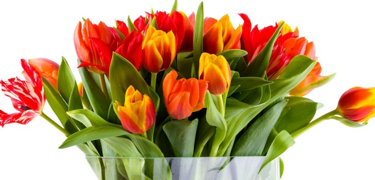 De mest rörliga och vackra dikterna den 8 mars, älskade kvinnor