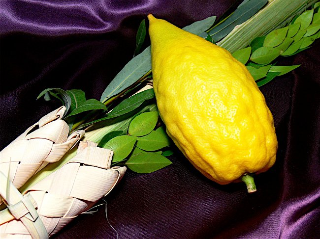Sukkot: Shalashi fest