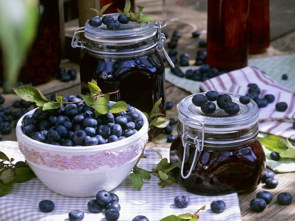 Blueberry recept för vintern Blueberry recept för vintern