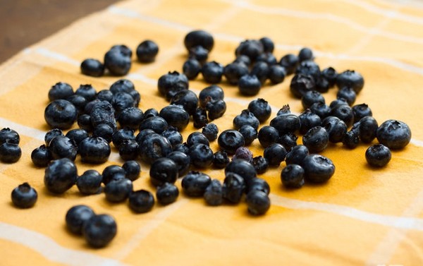 Blueberry recept för vintern