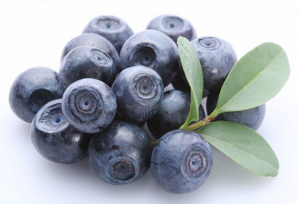 Blueberry recept för vintern