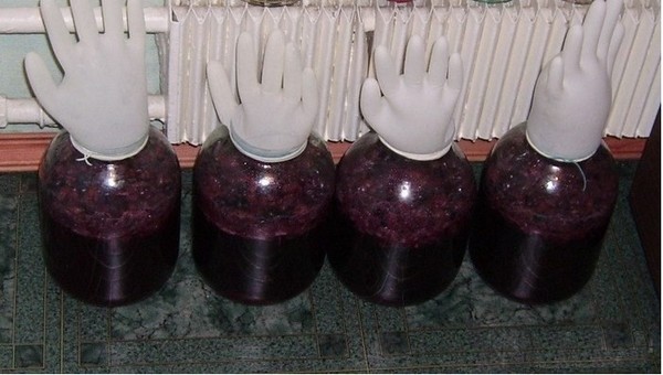 Hemlagat körsbärsvin, ett enkelt recept med vodka, utan jäst. Hur man gör körsbärsvin hemma med en handske