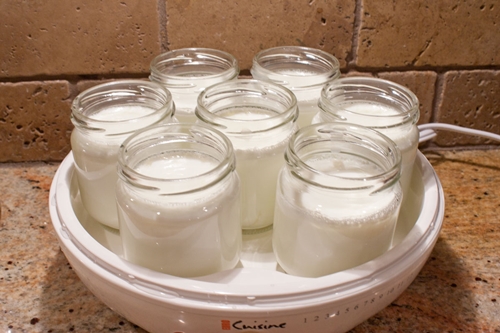 hemlagad yoghurt i yogurtnitsa