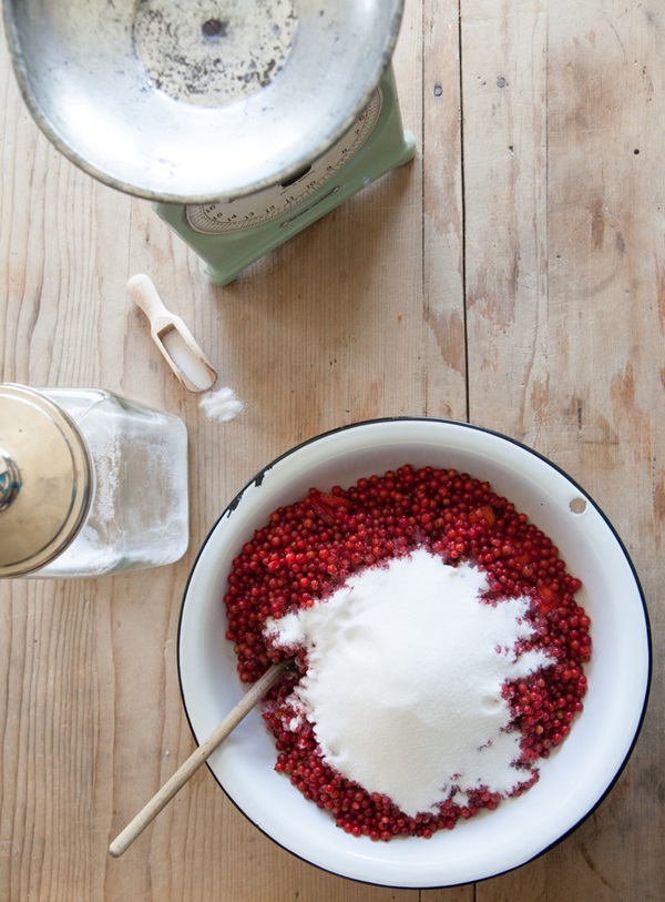 Röda vinbärssylt - recept för vintern