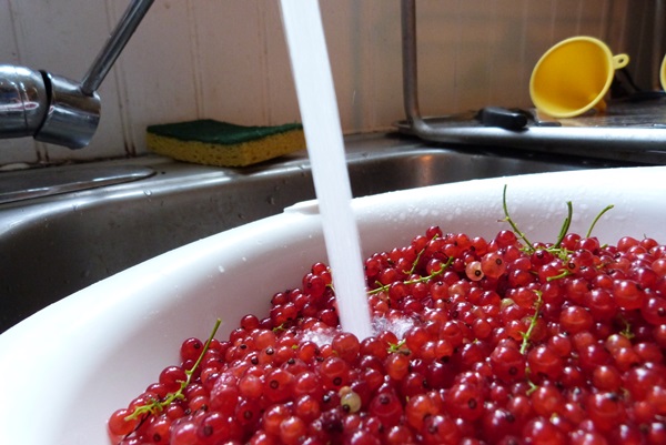 Röda vinbärssylt - recept för vintern