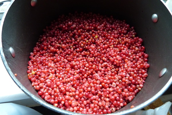 Röda vinbärssylt - recept för vintern