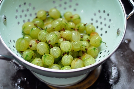 Pärla från krusbär i en bakverkare