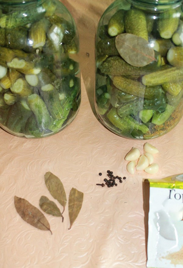 Crispy gurkor för vintern - syltad, utan vinäger, utan sterilisering. De bästa enkla recepten med fotografier av krispiga gurkor i burkar med vodka