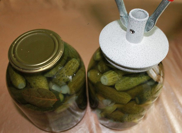 Crispy gurkor för vintern - syltad, utan vinäger, utan sterilisering. De bästa enkla recepten med fotografier av krispiga gurkor i burkar med vodka